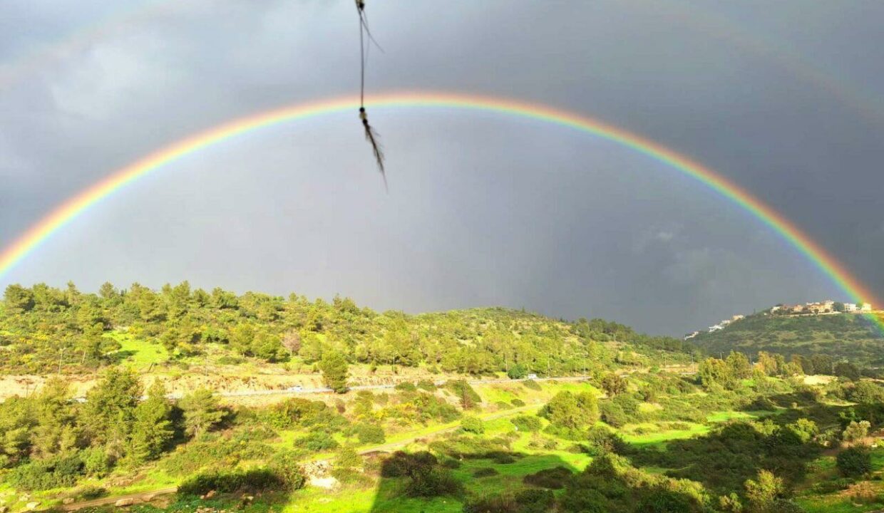 WhatsApp Image 2024-02-21 at 13.05.35