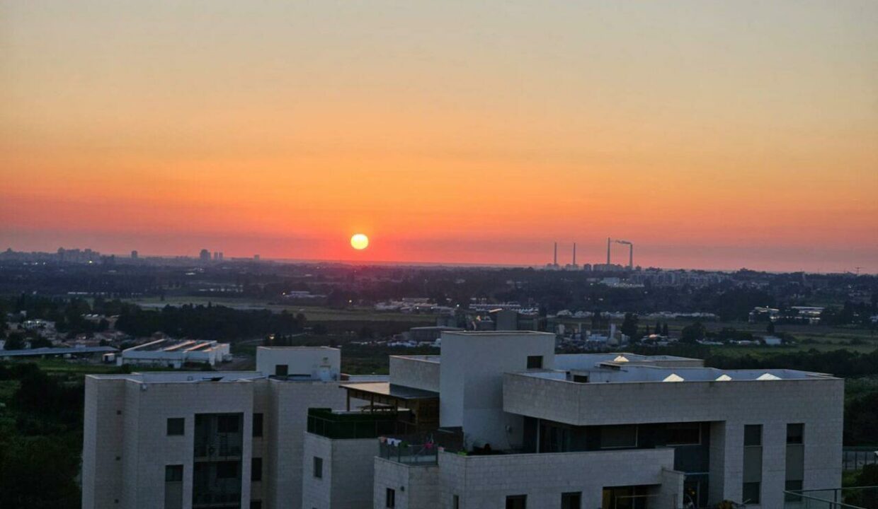 WhatsApp Image 2024-03-19 at 19.18.24