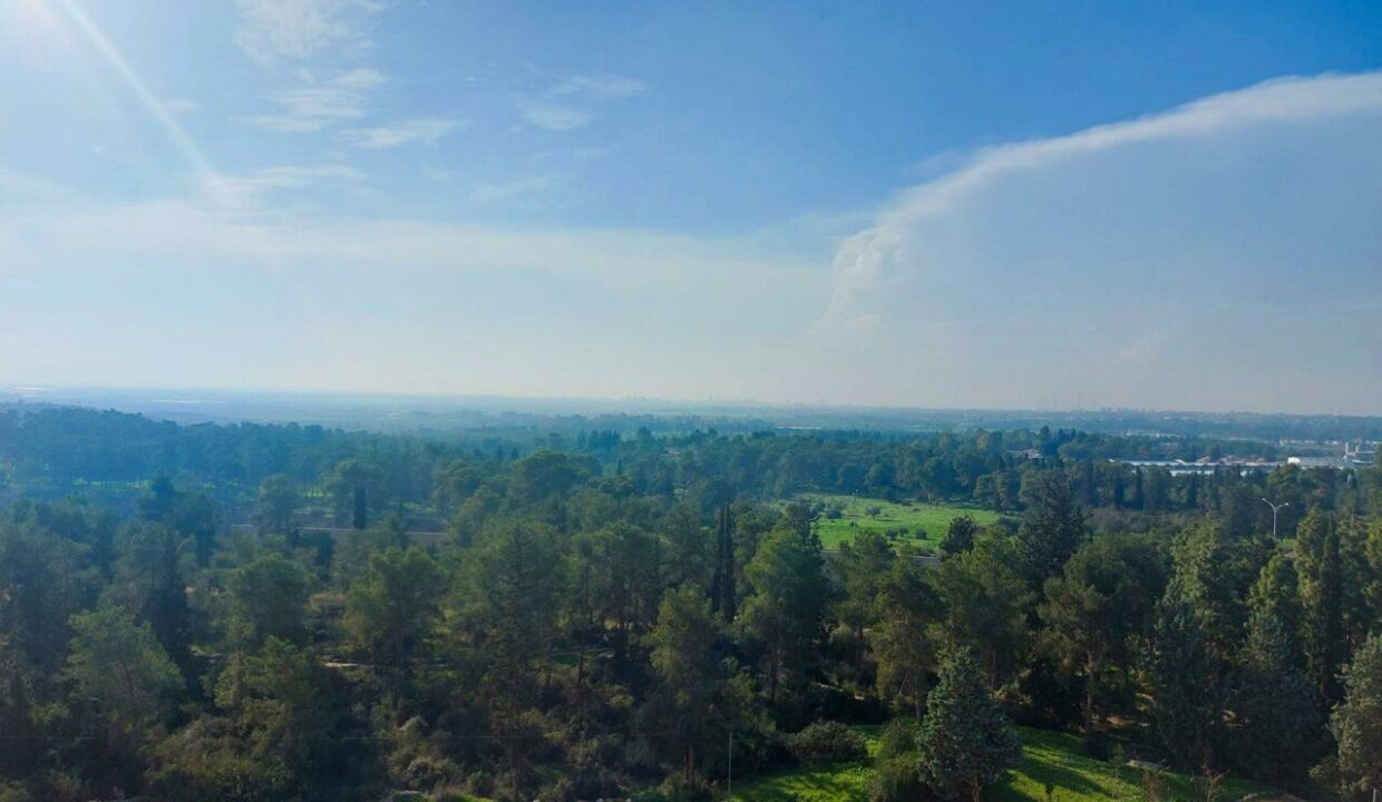 WhatsApp Image 2024-07-17 at 15.43.24