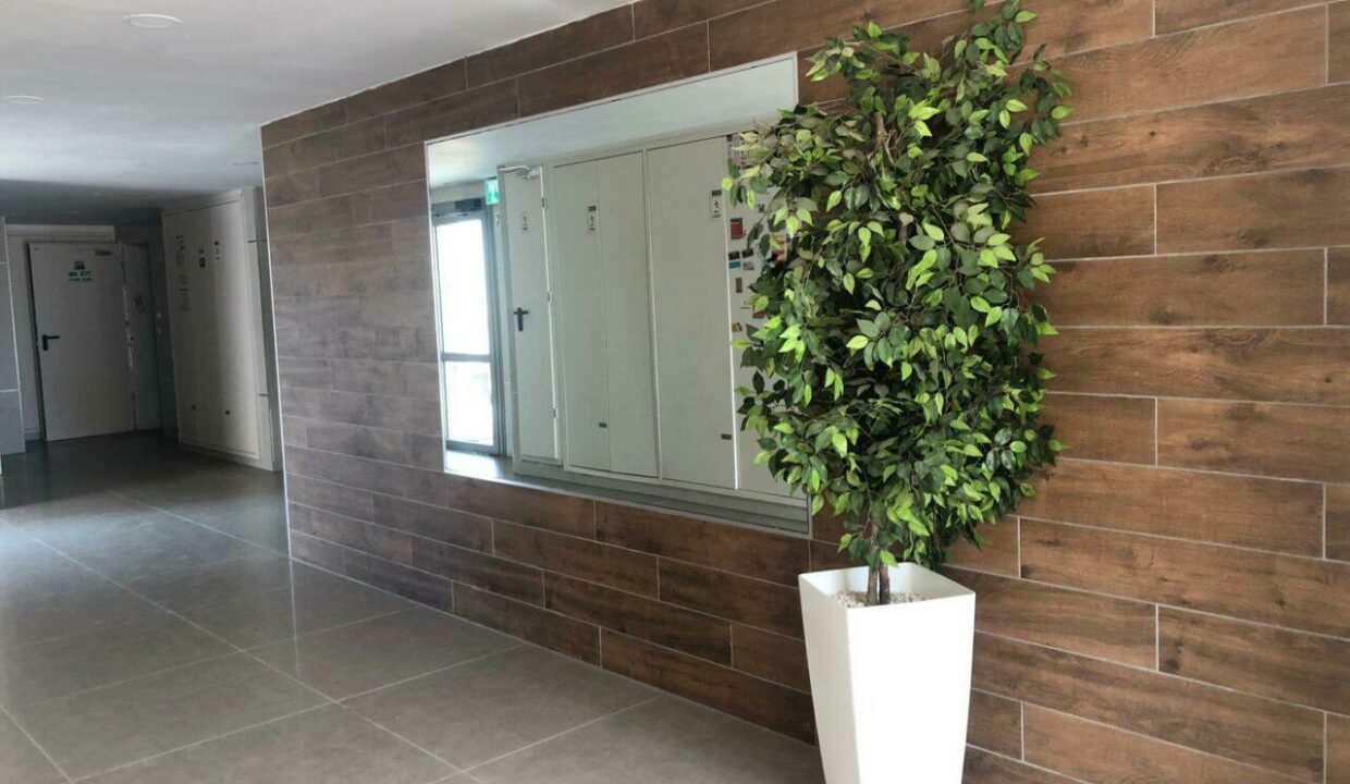 WhatsApp Image 2024-08-05 at 10.13.59 (1)