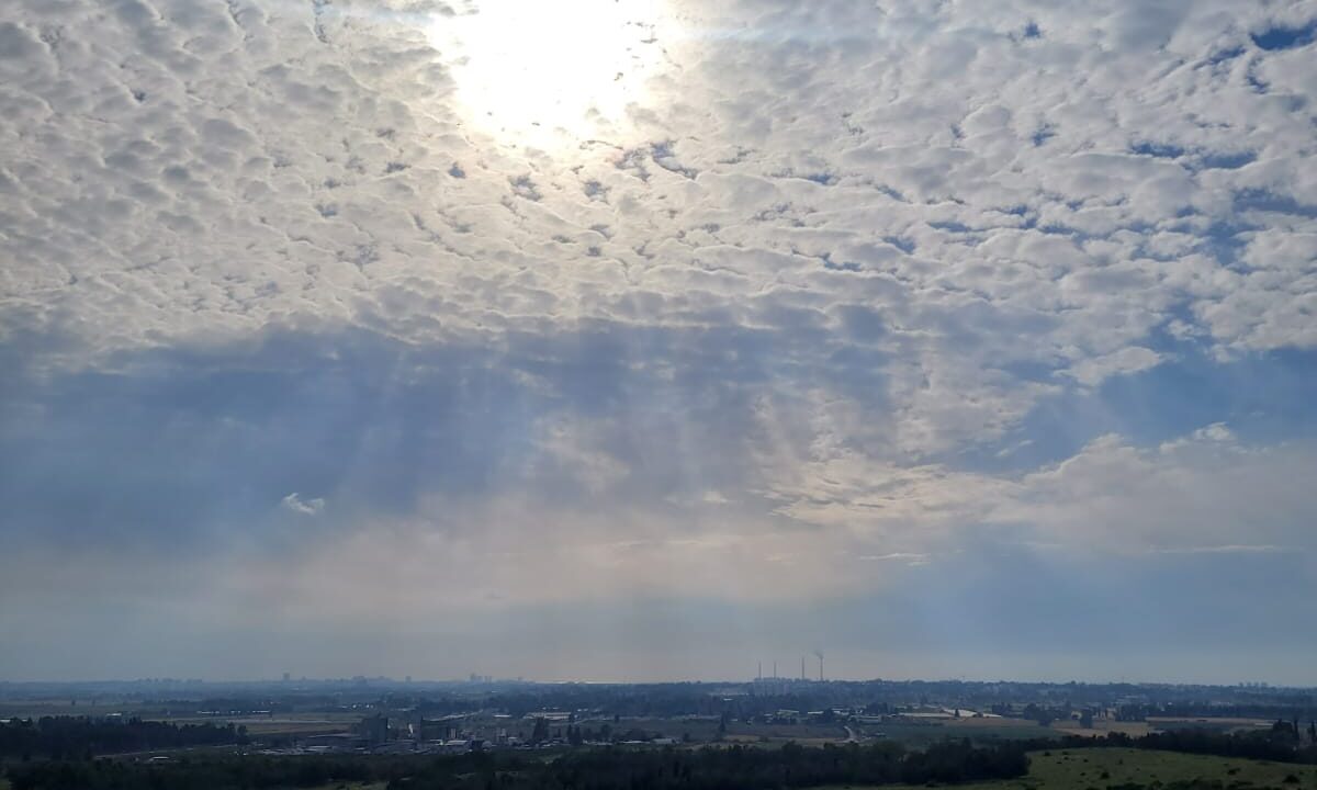 WhatsApp Image 2024-09-10 at 16.47.19 (3)