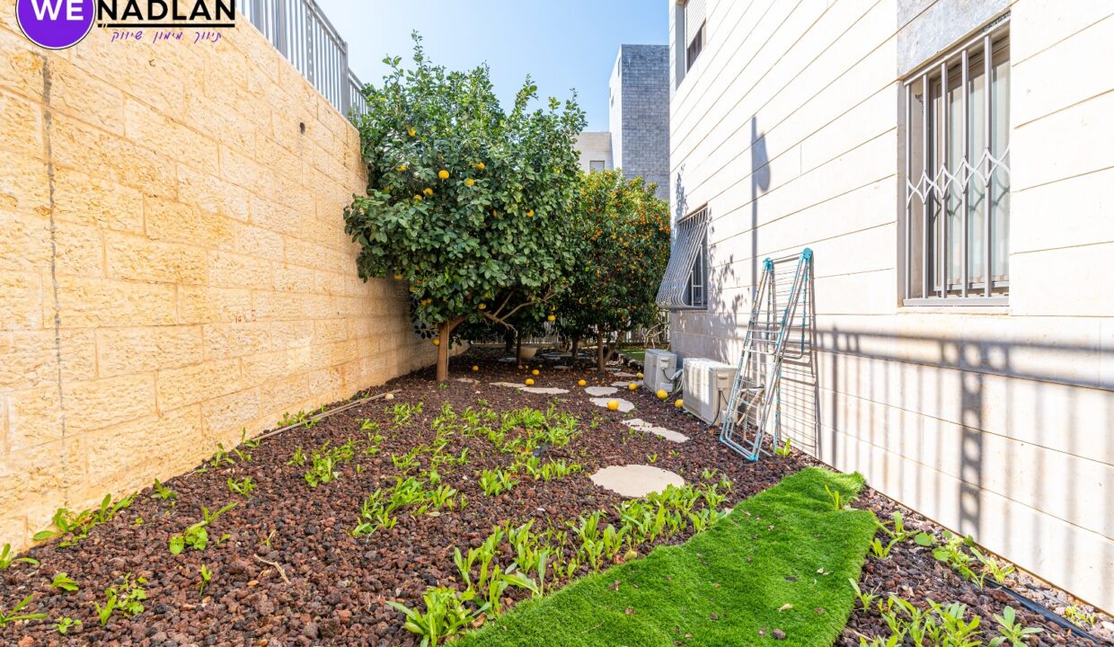 WhatsApp Image 2025-01-29 at 13.53.15