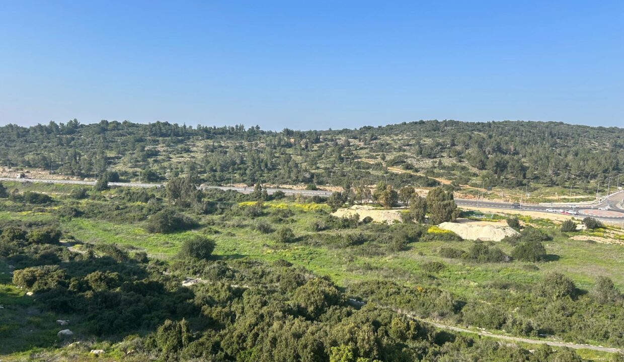 WhatsApp Image 2025-03-11 at 17.45.43 (1)