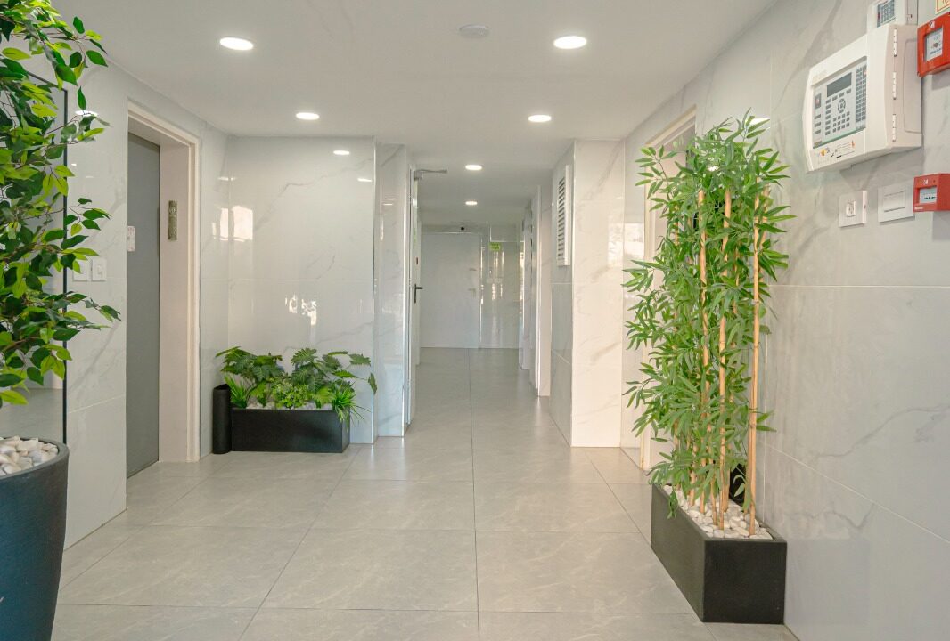 WhatsApp Image 2025-04-22 at 16.47.26