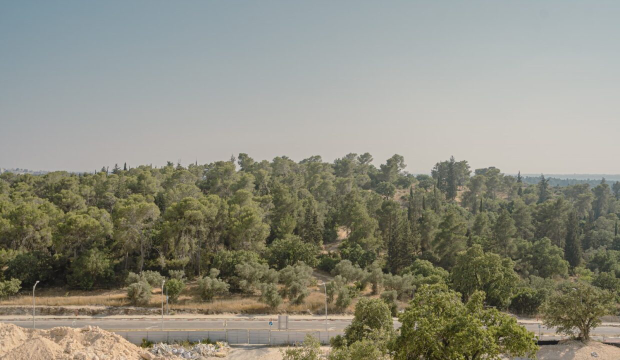 WhatsApp Image 2025-06-22 at 12.06.41 (1)