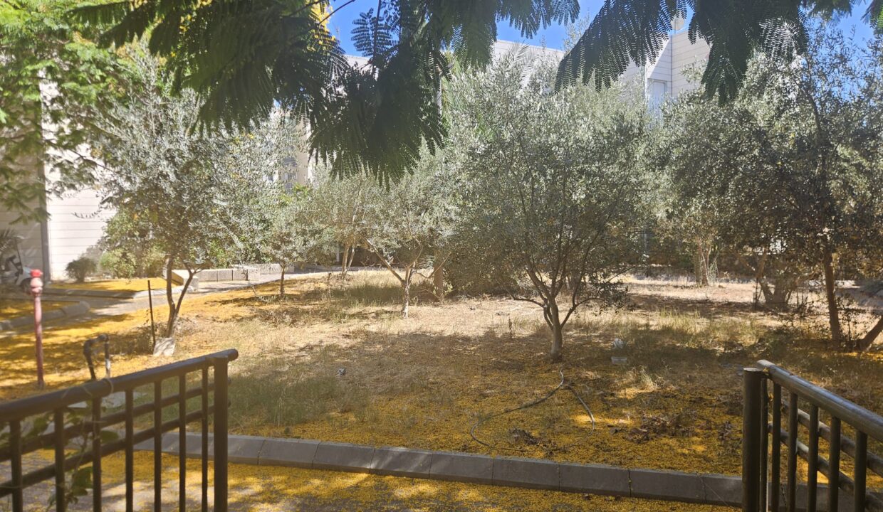 WhatsApp Image 2025-07-14 at 15.24.32