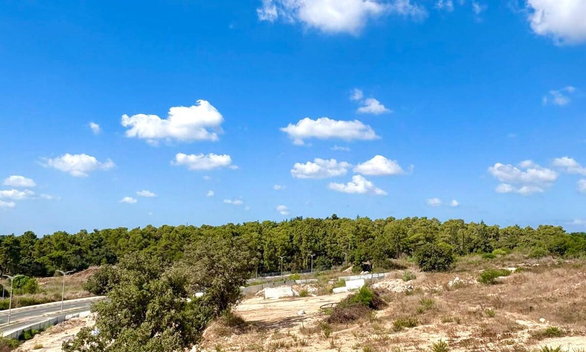 WhatsApp Image 2025-09-26 at 12.46.28 (1)