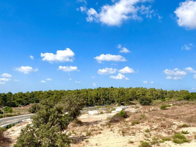 למכירה בחריש דירת 4 חדרים בשכונת הפרחים