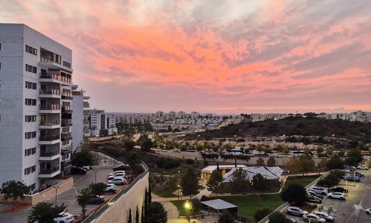 WhatsApp Image 2025-11-18 at 13.46.15 (1)